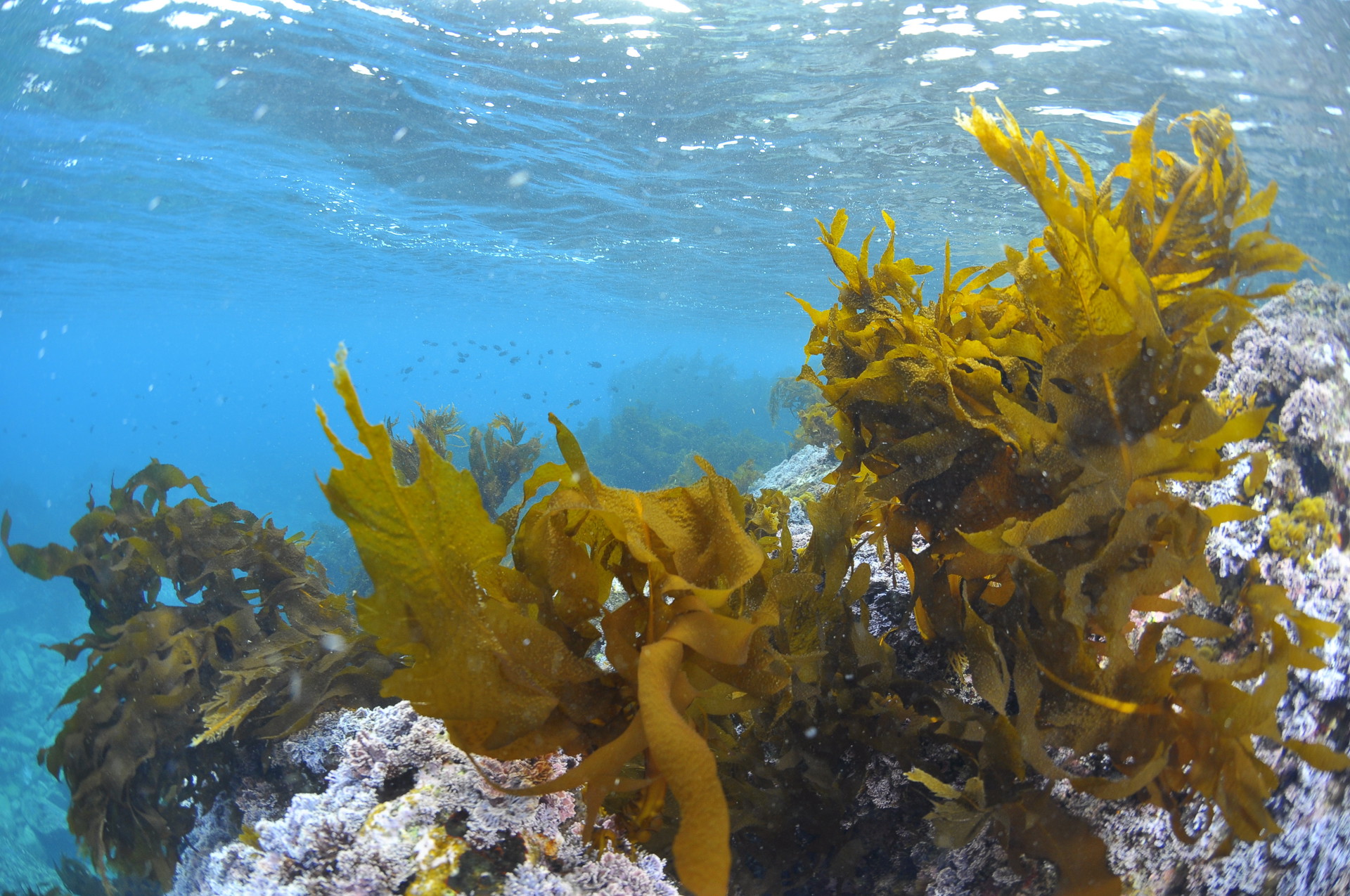 Background image - Adobestock 196340870