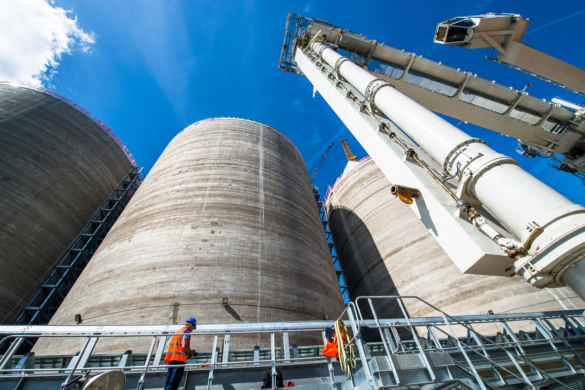 Background image - Biomass 12