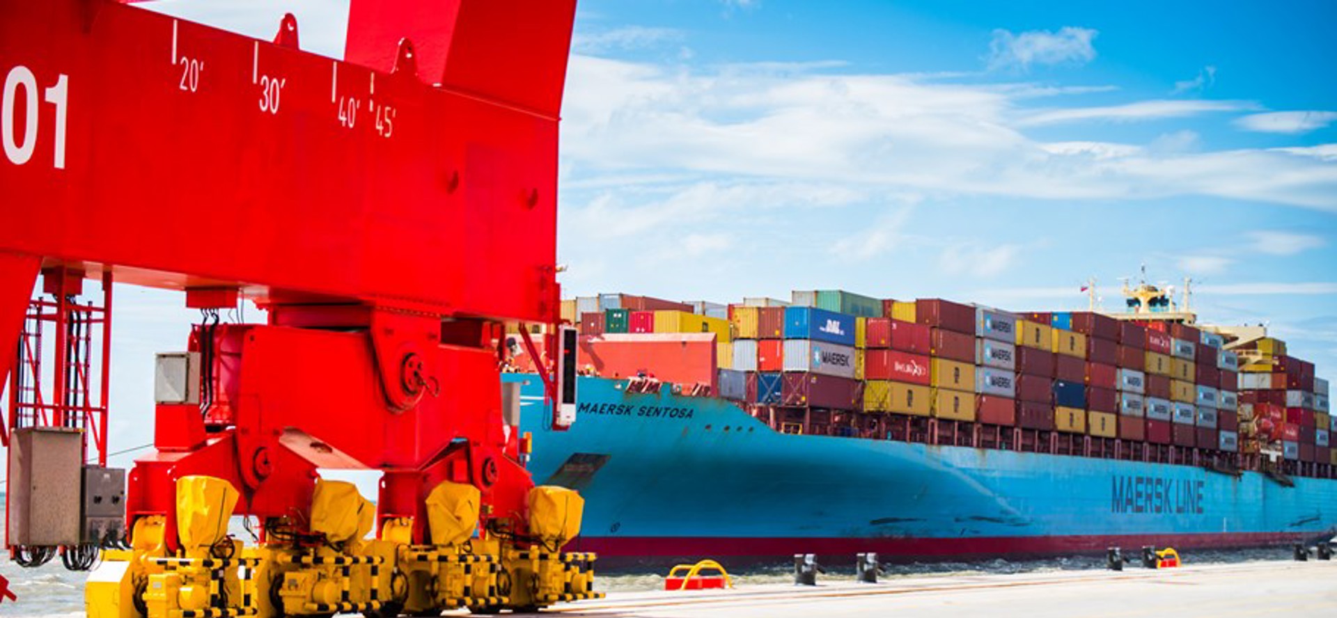 Background image - Pp14