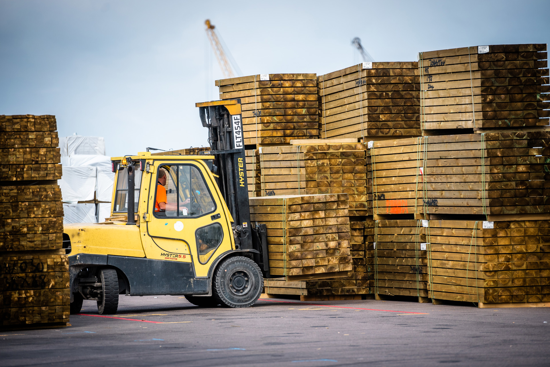 Forest Products 1 (1)