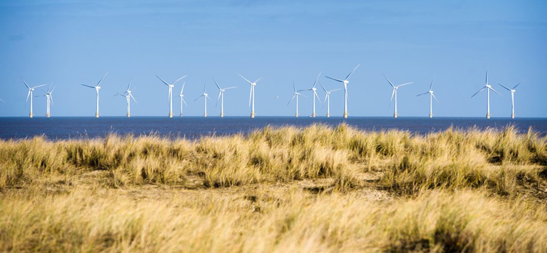 Background image - News 1